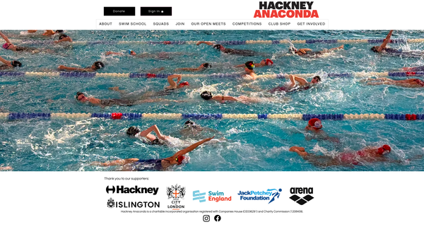 Screenshot of the Hackney Anaconda website