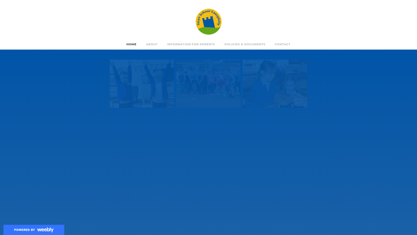 Screenshot of the Twyn School PTA website