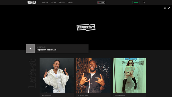 Screenshot of the Reprezent CIO website