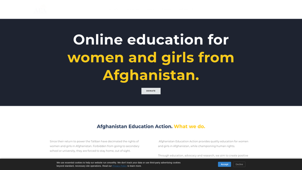 Screenshot of the Afghanistan Education Action website