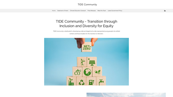 Screenshot of the Transition Through Inclusion And Diversity For Equity website