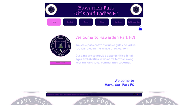 Screenshot of the Hawarden Park Girls And Ladies Football Club website