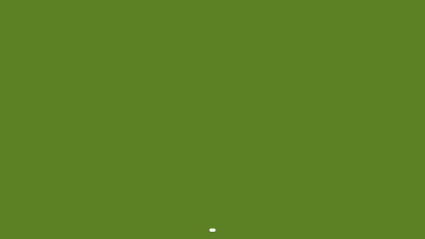Screenshot of the Harlow Art Trust website