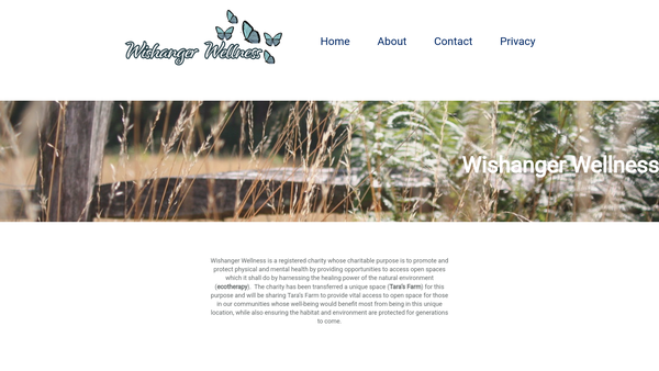 Screenshot of the Wishanger Wellness website