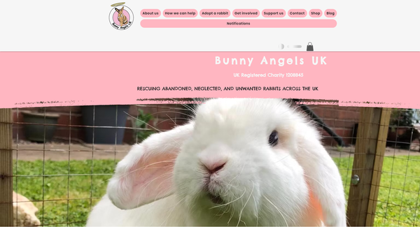 Screenshot of the Bunny Angels UK website