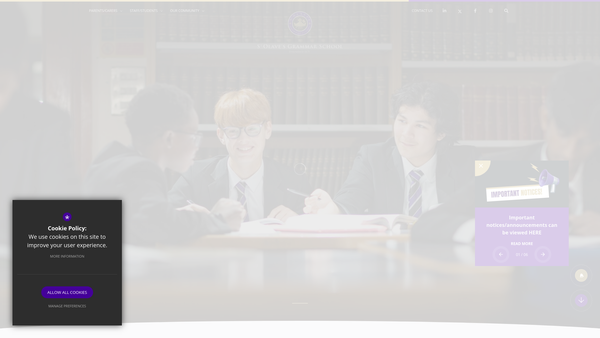 Screenshot of the St. Olave's Grammar School Enrichment And Development website