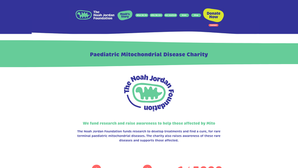 Screenshot of the The Noah Jordan Foundation website