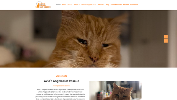 Screenshot of the Avid's Angels Cat Rescue website