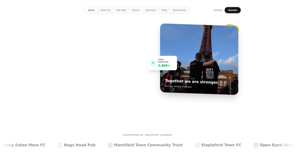 Screenshot of the Enlighten The Shadows website