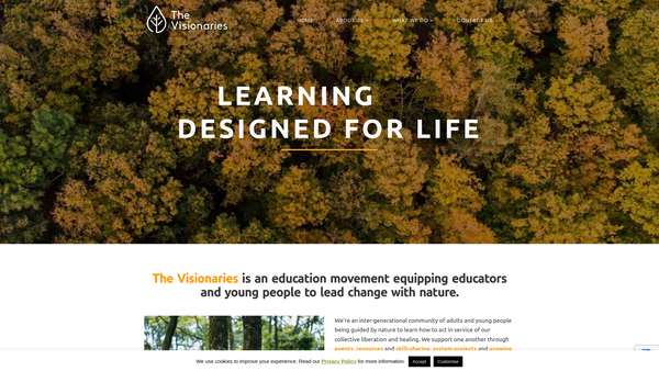 Screenshot of the The Visionaries Collective website