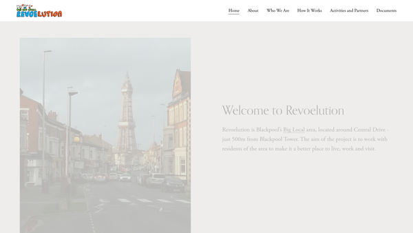 Screenshot of the Revoelution website