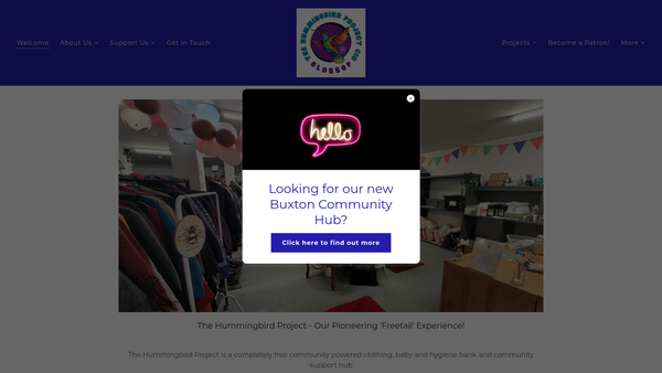 Screenshot of the The Hummingbird Project CIO website