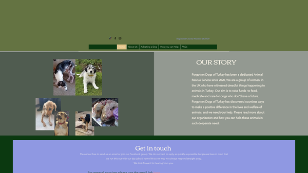 Screenshot of the Forgotten Dogs Of Turkey website