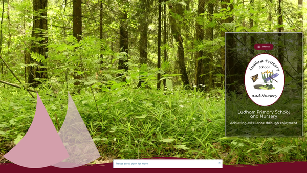 Screenshot of the Friends Of Ludham School website