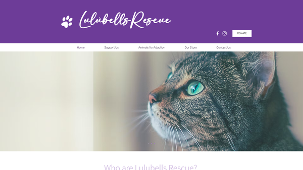 Screenshot of the Lulubells Animal Rescue website