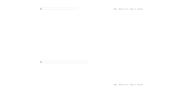 Screenshot of the Intra Community Trust website