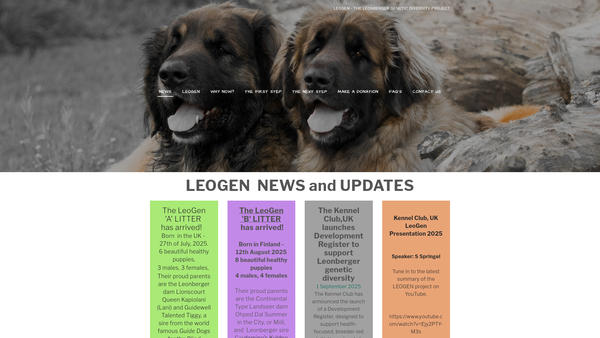 Screenshot of the Leogen website