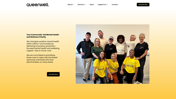 Screenshot of the Queerwell website