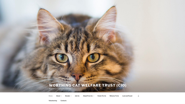 Screenshot of the Worthing Cat Welfare Trust website