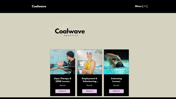 Screenshot of the Coalwave website