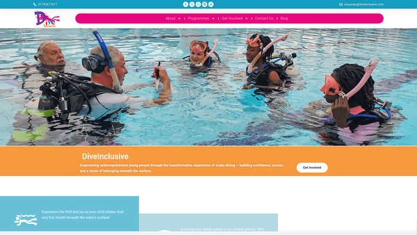Screenshot of the Diveinclusive CIO website