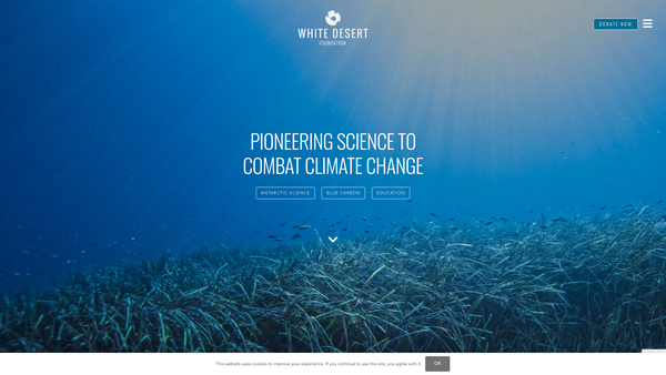 Screenshot of the White Desert Foundation website