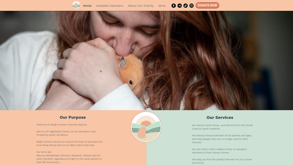 Screenshot of the Bright Horizon Hamster Rescue website