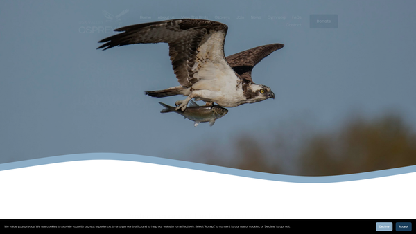 Screenshot of the Usk Valley Ospreys website