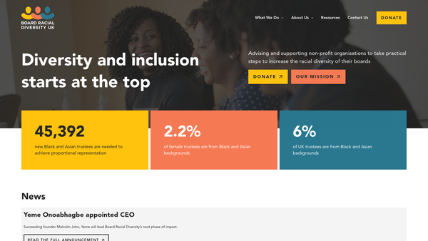 Screenshot of the Board Racial Diversity UK website