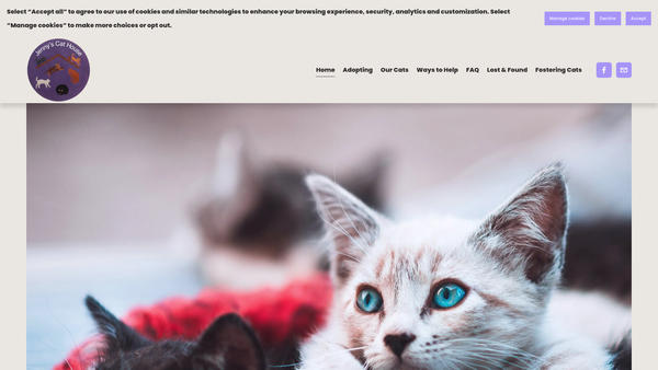 Screenshot of the Jenny's Cat House website