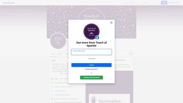Screenshot of the Touch Of Sparkle website