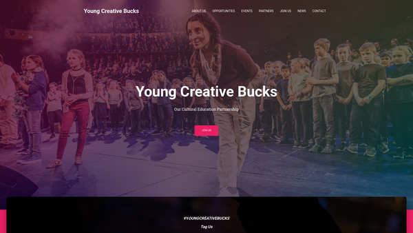 Screenshot of the Young Creative Bucks Cultural Education Partnership website