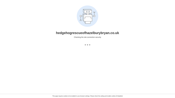 Screenshot of the Hedgehog Rescue Of Hazelbury Bryan website