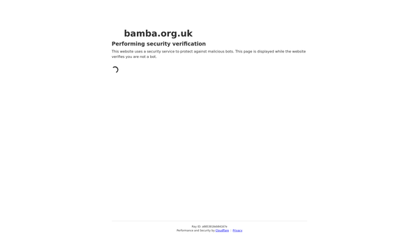 Screenshot of the British Association Of Mindfulness-Based Approaches website