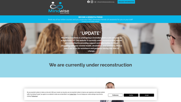 Screenshot of the Mindwise Solutions website