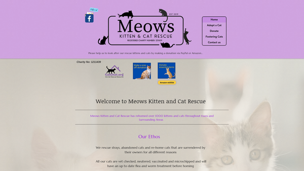 Screenshot of the Meows Kitten And Cat Rescue website