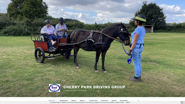 Screenshot of the The Cherry Park Driving Group website