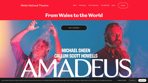 Screenshot of the Welsh National Theatre website