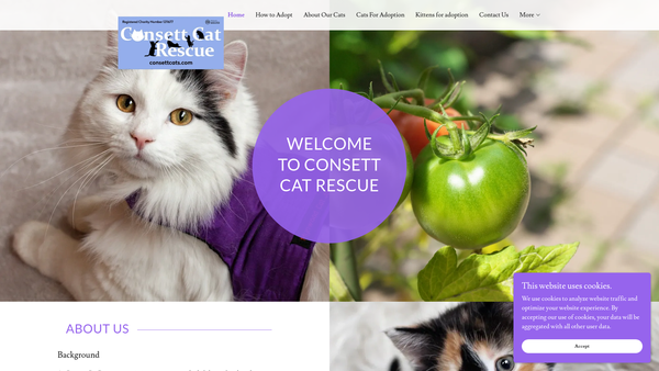 Screenshot of the Consett Cat Rescue website