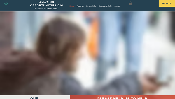 Screenshot of the Amazing Opportunities CIO website