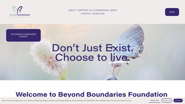 Screenshot of the Beyond Boundaries Foundation website
