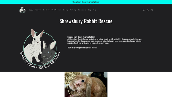 Screenshot of the Shrewsbury Rabbit Rescue website