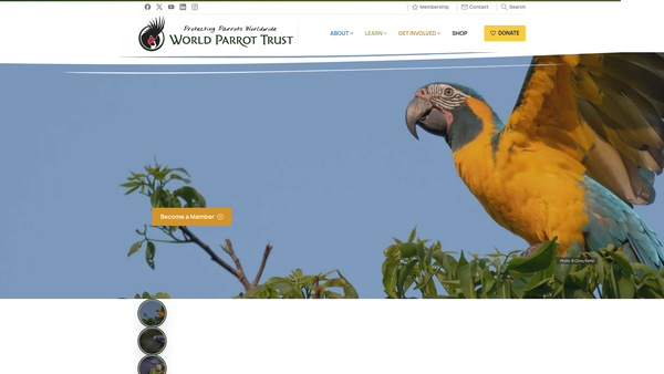 Screenshot of the World Parrot Trust website