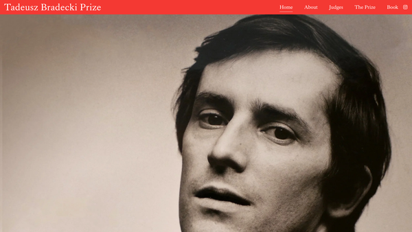 Screenshot of the The Tadeusz Bradecki Foundation website