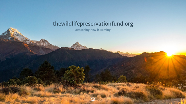 Screenshot of the Wildlife Preservation Fund website