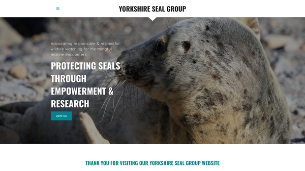 Screenshot of the Yorkshire Seal Group website