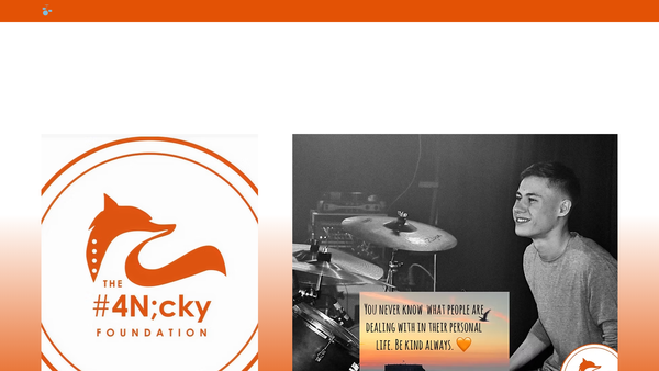 Screenshot of the The 4nicky Foundation website