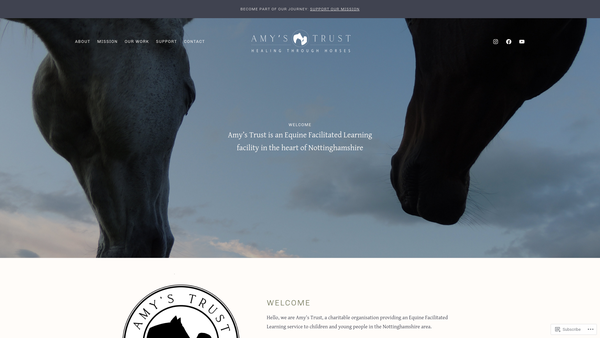 Screenshot of the Amy's Trust CIO website