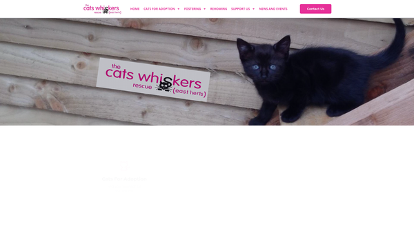 Screenshot of the The Cats Whiskers Rescue (East Herts) website