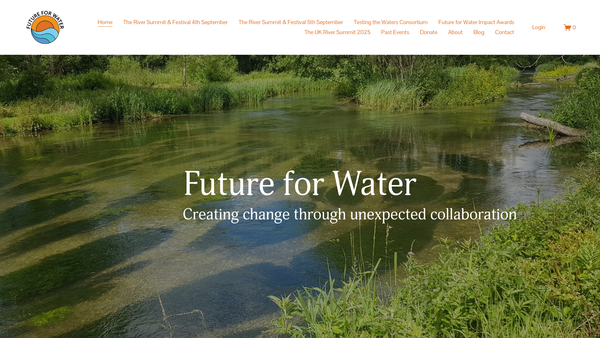 Screenshot of the Future For Water website